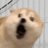 inu_1_innu