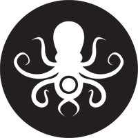 Black Octopus Sound(@_blackoctopus_) 's Twitter Profile Photo
