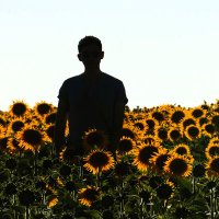 Rafus (@rafaelxaugusto) 's Twitter Profile