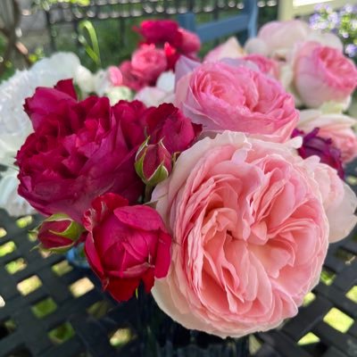 mayumi_advocate's profile picture. 浜松市在住。 子どもアドボカシーセンターしずおか 、チャイルドラインはままつ。 アドボケイトを必要としている子ども達に独立アドボカシーを実践しています。 静岡県全市町村に伺い子どもの権利を広める活動中。  お仲間募集中♡ 宜しくお願いいたします。  自分のサロンでは子ども達の居場所♡アロマを嗅いでリラックスしています