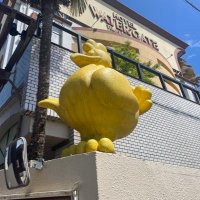ウォーターゲート岐阜 (@watergategifu) 's Twitter Profile