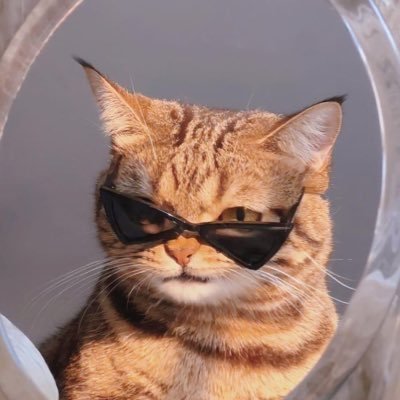 vynnnnna's profile picture. legoo