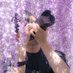 Takumi 週末フォトグラファー (@takumi4064) Twitter profile photo Takumi 週末フォトグラファー (@takumi4064) Twitter profile photo