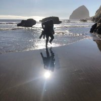 Voice (@seattlebcv) 's Twitter Profile Photo Voice (@seattlebcv) 's Twitter Profile Photo