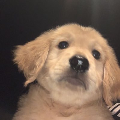 thheahan_'s profile picture. 