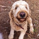 Nikki Mann - @environik - Twitter