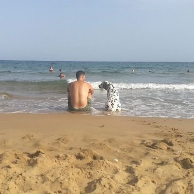 david_ortega58's profile picture. 