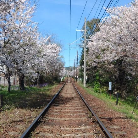 YA1974H's profile picture. (京都)
トラブルは素晴らしいチャンス 
ｼﾝﾊﾟｲﾅｲ ﾓﾝﾀﾞｲﾅｲ ﾅｲﾅｲｻﾞｯﾂﾗｲﾌ ｲｯﾂｵｰﾗｲ♪