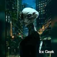 ic_gek's profile picture. Sky based web 3 start up!