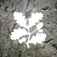 Avebury NT(@AveburyNT) 's Twitter Profile Photo