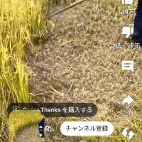 横田晋司 (@f46dxftfot92961) Twitter profile photo