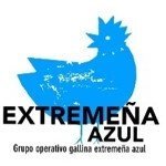 Grupo Op GALLIEXTREM Gallina azul extremeña(@GoGallinaazul) 's Twitter Profile Photo