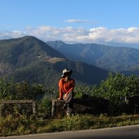 Nyaton Kitnya (@nyatonkitnya) 's Twitter Profile