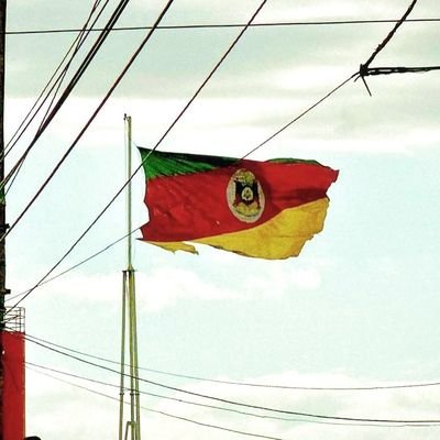 Conservador / Armamentista / Transvacinado / Estado mínimo Anti-aceitacionistas