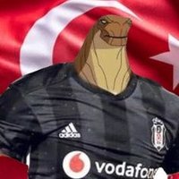 Beşiktaşlı İnsanazor(@bjkliinsanazor) 's Twitter Profile Photo