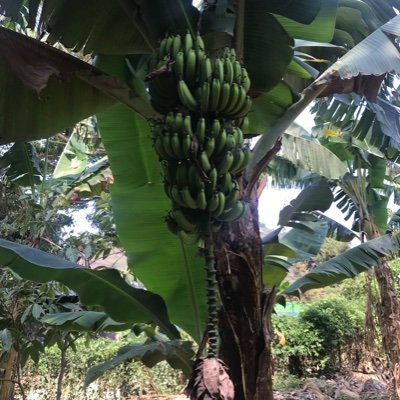 Goenitz260882's profile picture. 