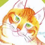 shirokuroiseebi's profile picture. 音楽、映画、ラジオ、株、サウナ。