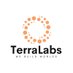 TerraLabs - We Build Worlds (@TerraLabWorlds) Twitter profile photo