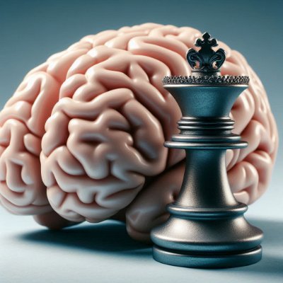 We consolidate the collective intelligence of life strategy and use tech to refine it.