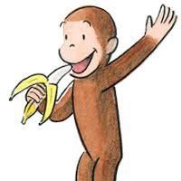frank the monkey 🙊 (@frankismonkey) 's Twitter Profile