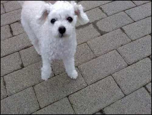 deletedaccountn's profile picture. 