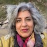 farhanaclimate's profile picture. Lawyer, Climate Justice Funder & Activist, Author, mum, migrant, UNFCCC process nerd- more active on X. please follow me on Insta & LinkedIn