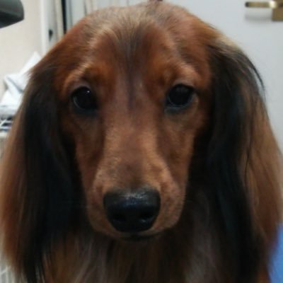 nanakun713's profile picture. 