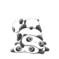 もふりん　8m／6月☺︎🦕 (@mohurinmohu) Twitter profile photo