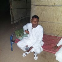 محمد أبوالقاسم حبيب (@abwalqasm085) 's Twitter Profile