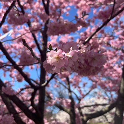 layerkilometer's profile picture. if ur a barb @ me so i can block u. #BlockABrokeBarbCampaign