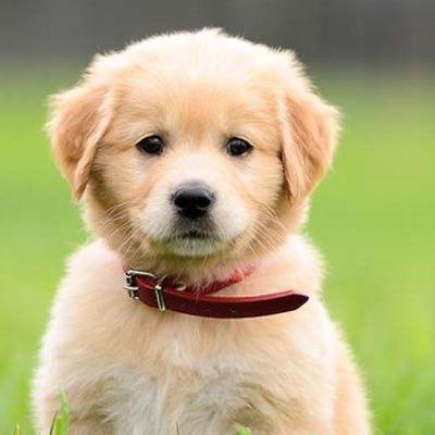 CKcalifornia_'s profile picture. 