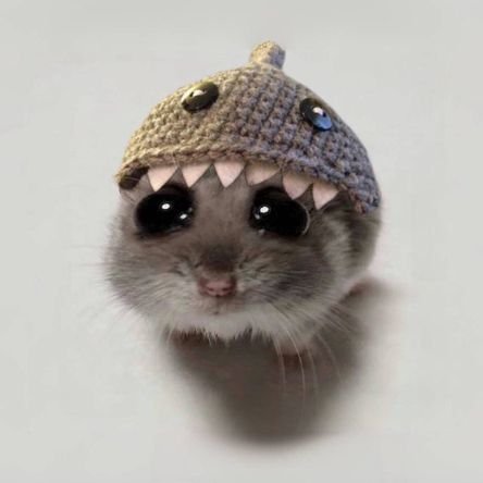 ou8337279's profile picture. 