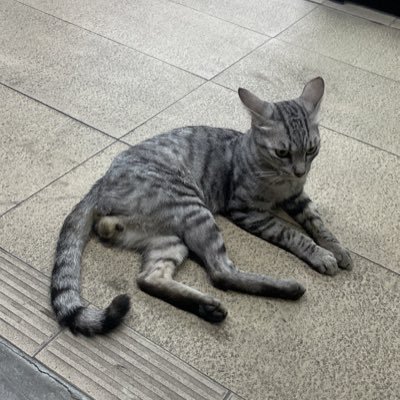 ตาต้าไม่ชอบกินไข่เป็ดさんのプロフィール画像