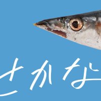 魚群(さかな) (@imperia1fish) Twitter profile photo