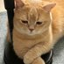 meow (@beraks08) Twitter profile photo meow (@beraks08) Twitter profile photo