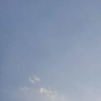 kkuukk (@kkuukk60) 's Twitter Profile