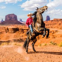 Cowboy (@veterans2000) 's Twitter Profile Photo Cowboy (@veterans2000) 's Twitter Profile Photo