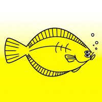 FLOUNDER (@flat_dance_half) 's Twitter Profile