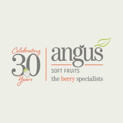 Angus Soft Fruits