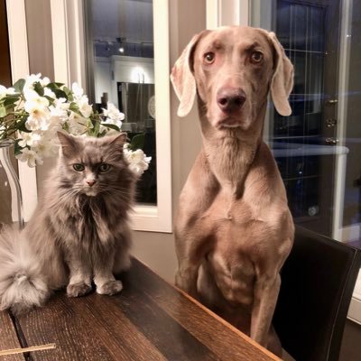 AlanKWelch's profile picture. 