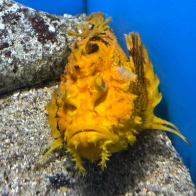 kakuLambda's profile picture. 名大 情報M2 計算論, 実現可能性