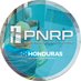 Programa Nacional para la Reducción de Pérdidas (@PNRP_HN_) Twitter profile photo