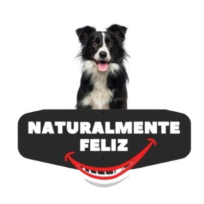 Te Ayudamos a Alimentar a tu Perro, con una Dieta Fácil, sabrosa y 💯% Natural 🍀
⬇️️¿y tu, que alimentación le das a tu fiel compañero?⬇️⚠️