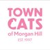 Town Cats of Morgan Hill (@TownCats) Twitter profile photo