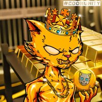 Coo〽️ Cats (@coomcatsnft) Twitter profile photo
