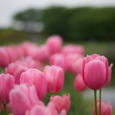 JhoofOkmc344521's profile picture. SWE 3年目/料理と写真が好きなエンジニア/博士(理学）, 応用情報