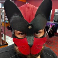 🐈⬛Castor♥️ (@kittnplaycastor) 's Twitter Profile