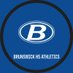 Brunswick HS Athletics (@BHSGoBigBlue) Twitter profile photo