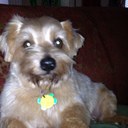 Phyllis Mackey - @phyldyll - Twitter