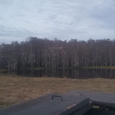 HowertonClinton's profile picture. 